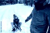 preview cold