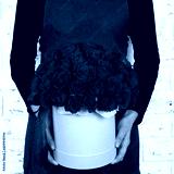 preview cold