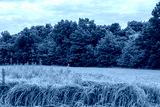 preview cold