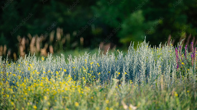 image to crop