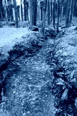 preview cold