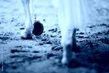 preview cold