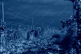 preview cold