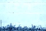 preview cold