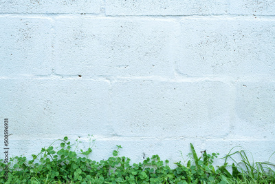 image to crop