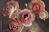 preview original