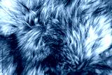preview cold