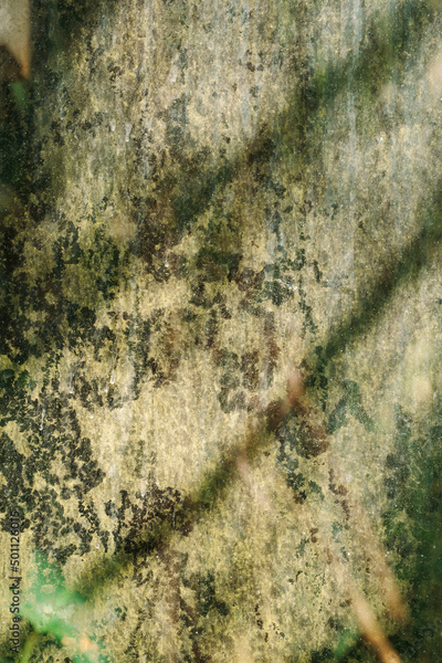 image to crop