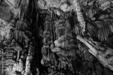 preview bw