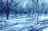 preview cold