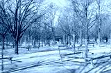 preview cold