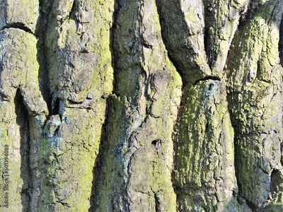 image to crop