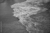 preview bw