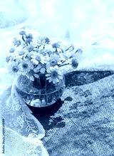 preview cold