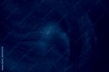 preview cold
