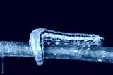 preview cold