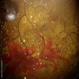 preview original