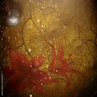 image to crop