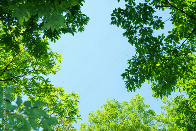 image to crop
