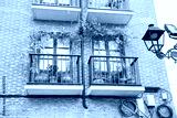 preview cold