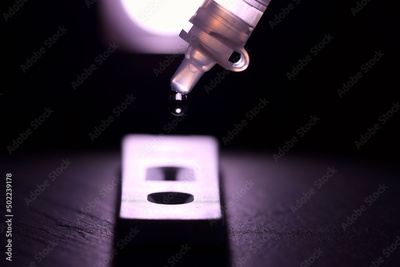 image to crop