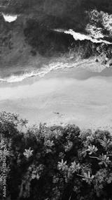 preview bw