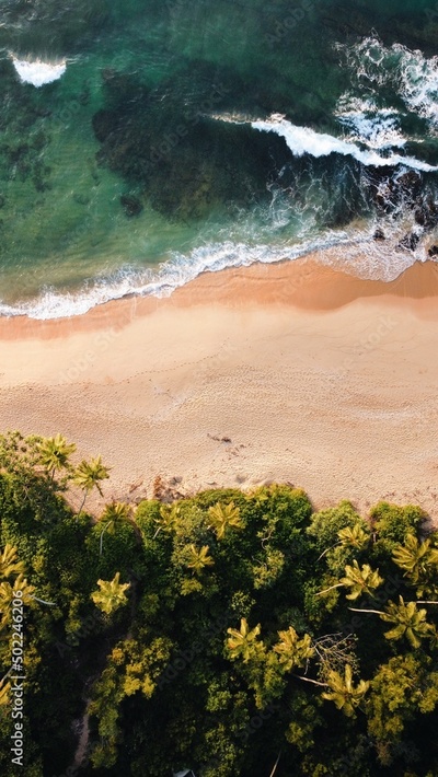 image to crop