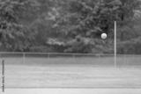 preview bw