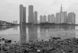 preview bw