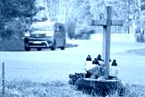 preview cold