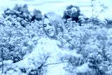 preview cold