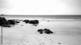 preview bw