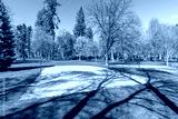 preview cold