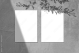 preview original