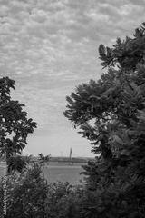 preview bw