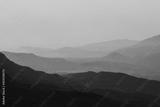 preview bw