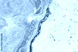 preview cold