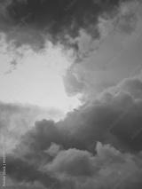 preview bw