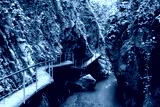 preview cold