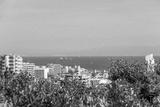 preview bw