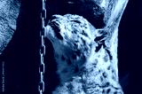 preview cold