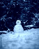 preview cold