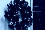 preview cold
