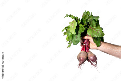 image to crop