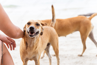 image to crop