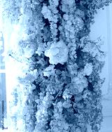 preview cold