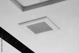 preview bw