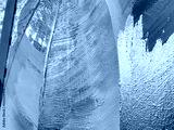 preview cold