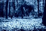 preview cold