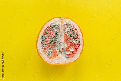 image to crop